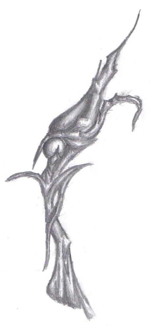 gothicrose1.jpg